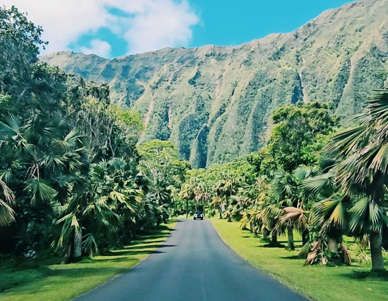 A scenic road through tropical gardens beneath the Koʻolau mountains