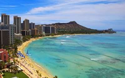 fotolia 14296323 m tomas del amo fotolia.com