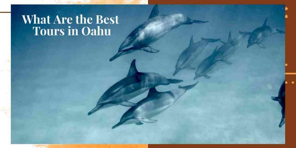 what are the best tours in Oahu
