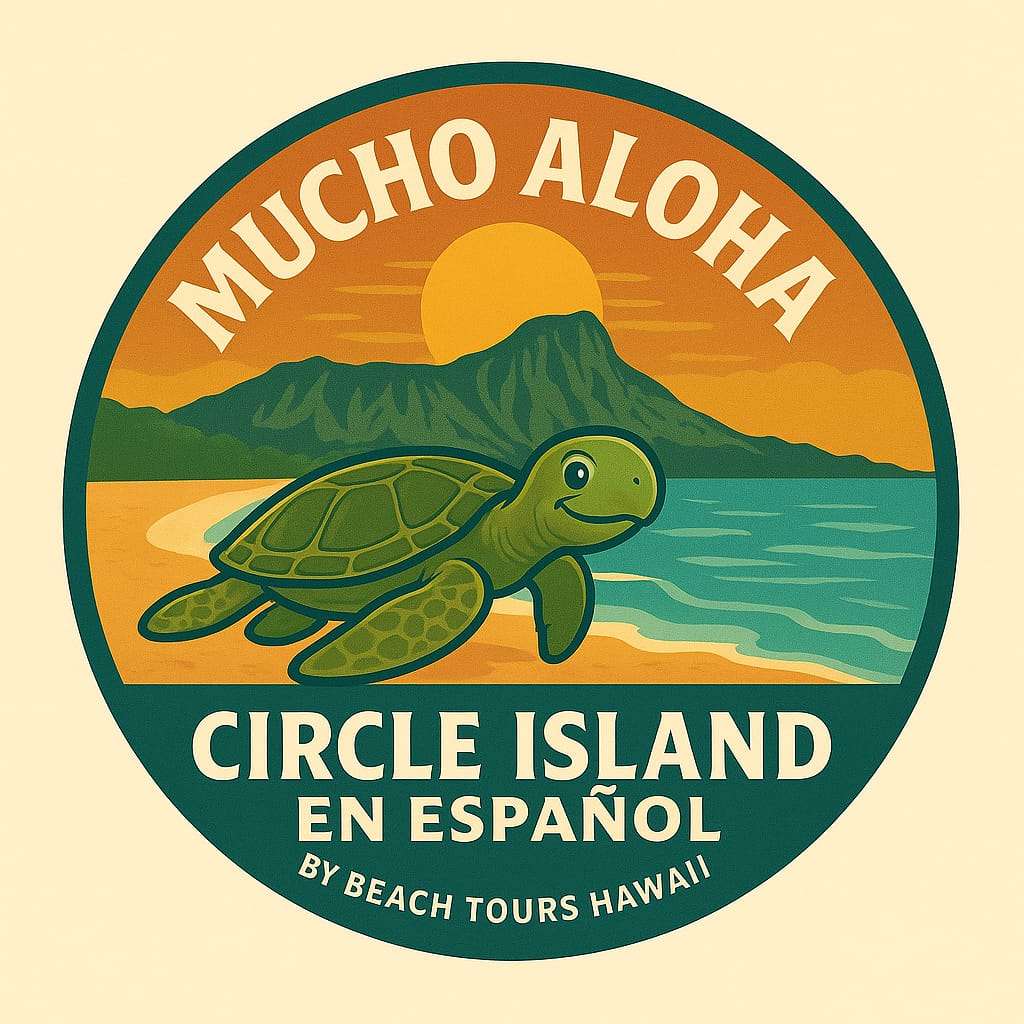 WhatsApp Image 2025-05-11 at 12.10.54 PM (1)