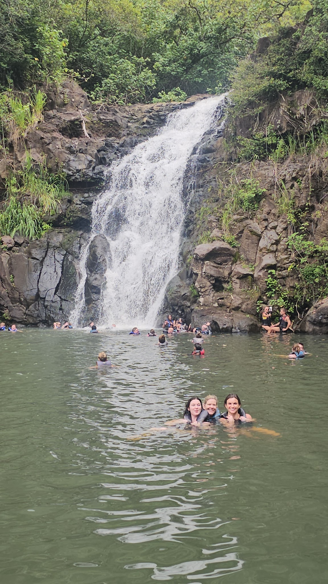 Guests swimming at Waimea Falls during a North Shore tour