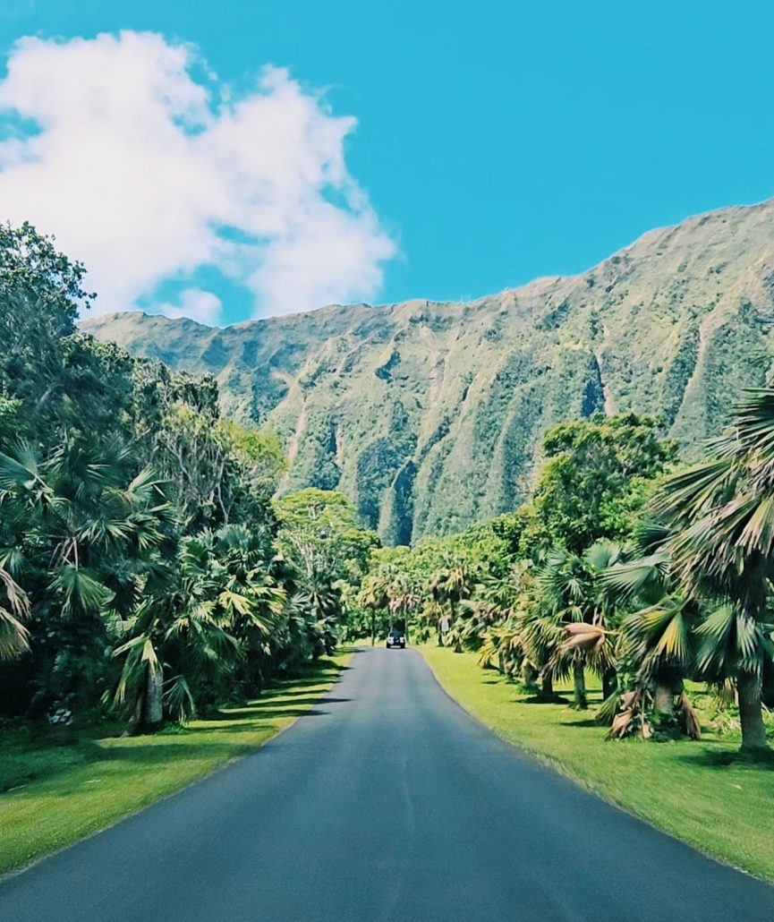 Palm-lined road at Ho‘omaluhia Botanical Garden in Kāneʻohe, beneath the Koʻolau mountains
